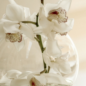 Faith - 1 Hour Life Coaching Session