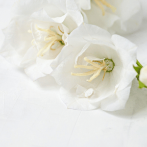 Hope 5 x 1 Hour Life Coaching Package Photo