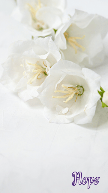 Hope 5 x 1 Hour Life Coaching Package Photo