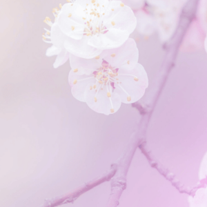 Love - 10 x 1 Hour Life Coaching Package